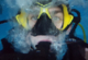 Community Builder Avatar